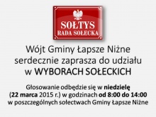 Wybory sołeckie